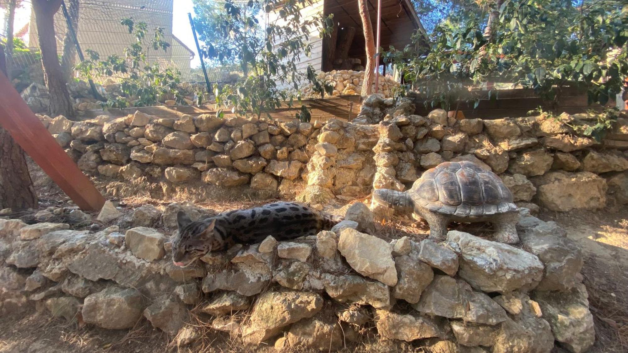 Les Jardins De L'Oustal Βίλα Ναρμπόν Εξωτερικό φωτογραφία