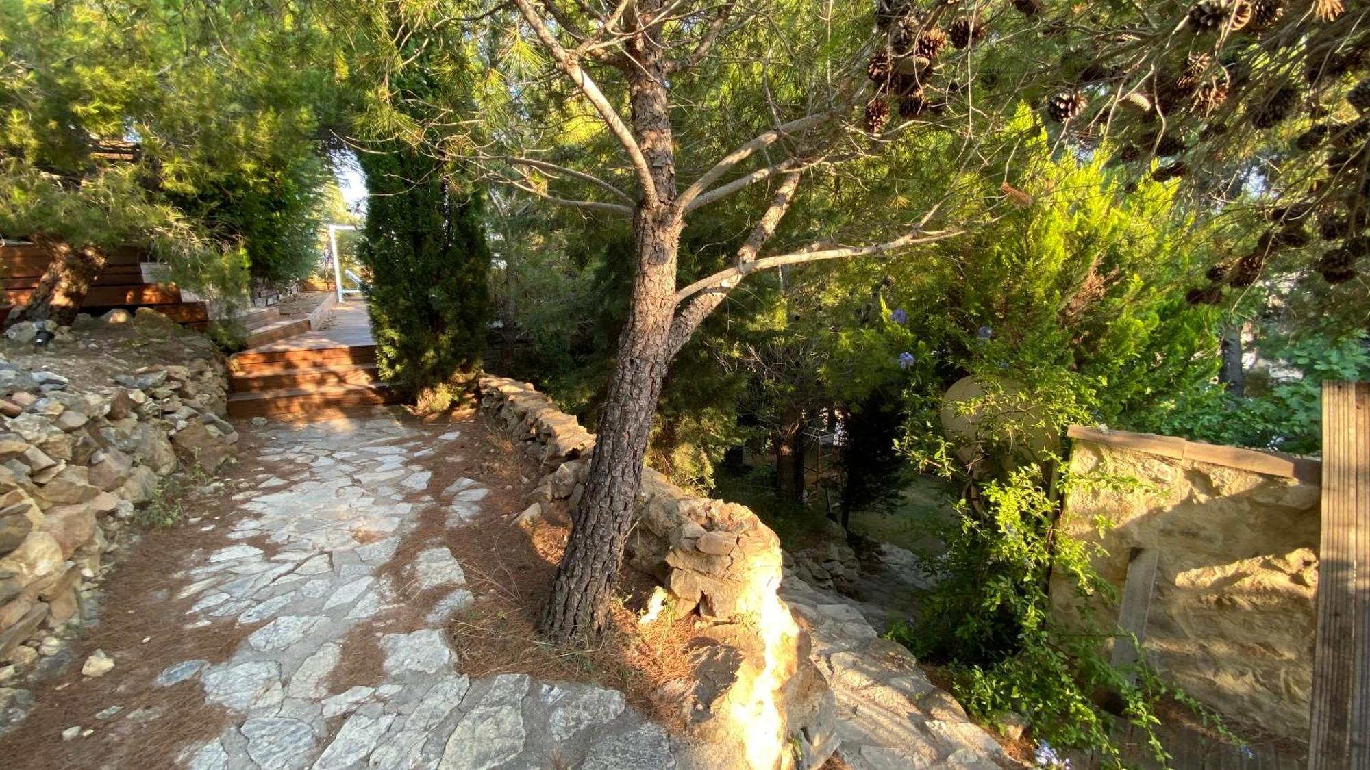 Les Jardins De L'Oustal Βίλα Ναρμπόν Εξωτερικό φωτογραφία